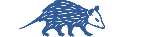 The Blue Opossum
